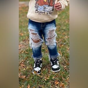 2T Toddler Distressed Jeans